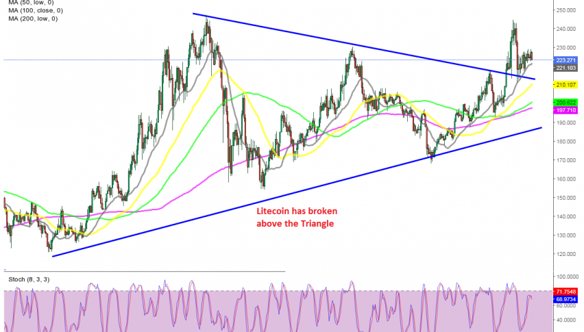 Buyers remain in charge in cryptos, with the 20 SMA holding as support