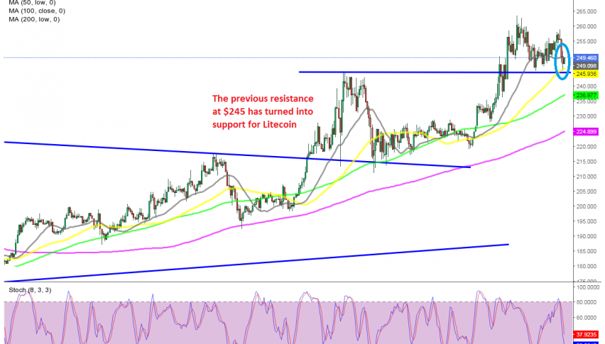 Buyers still remain in charge in cryptocurrencies