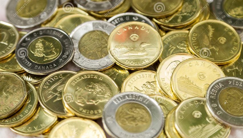 Candian dollar coin