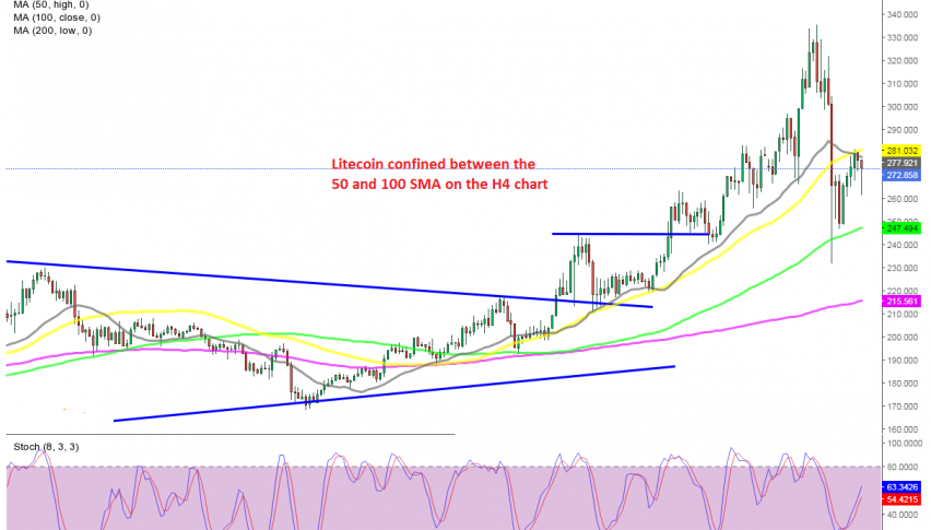 The 50 SMA at the top is more in danger of being broken now after the bounce