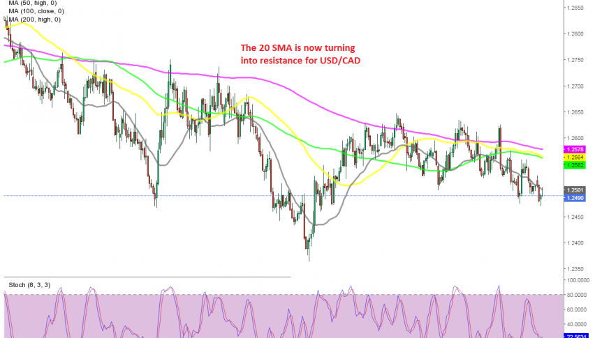 The downside momentum continues