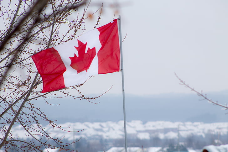 Will the BOC resume rate cuts?