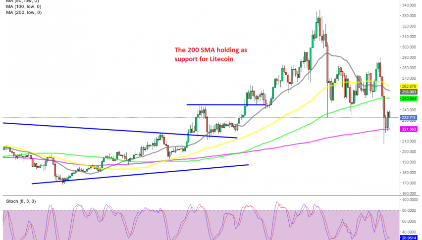 The decline in cryptos has stalled for now