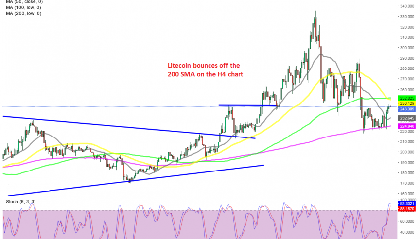 Is the decline over for cryptos?