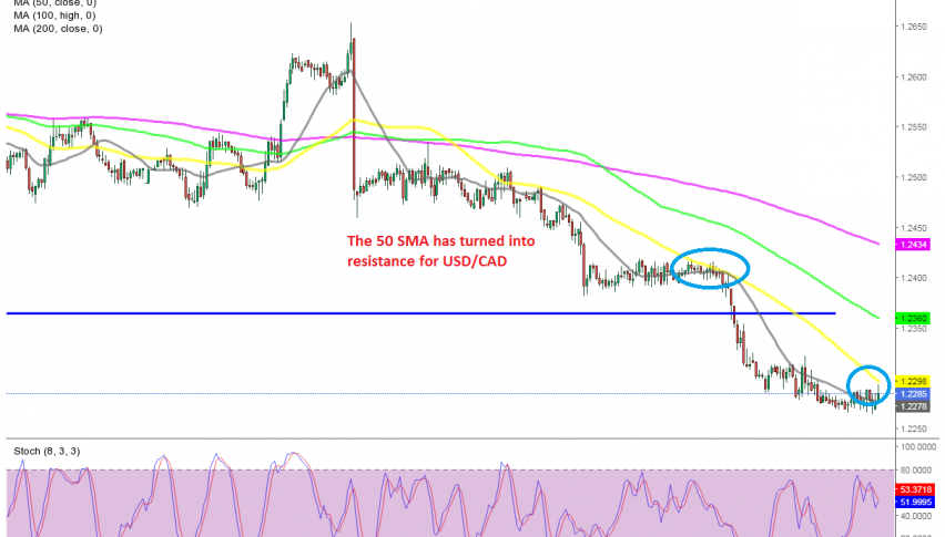 USD/CAD has just broken above the 50 SMA