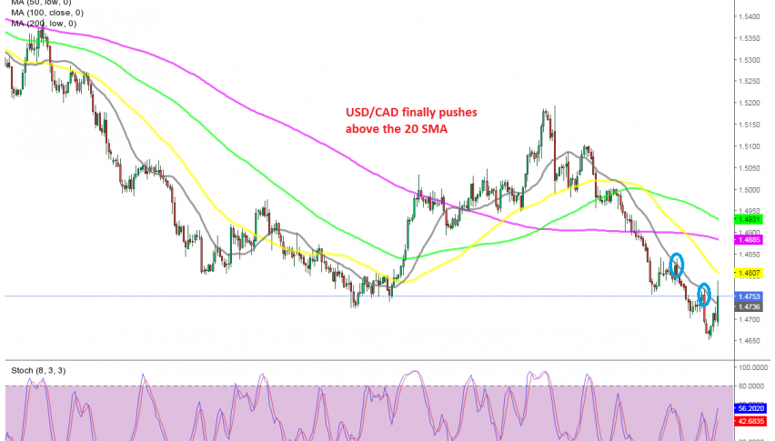 Will the trend change now for USD/CAD?
