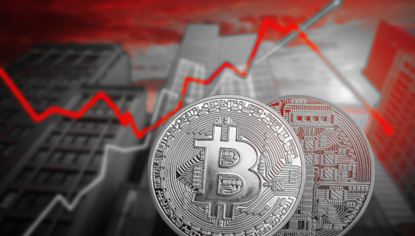 Why do Crypto Charities like Elongate and Munch Raise Millions of Funds?