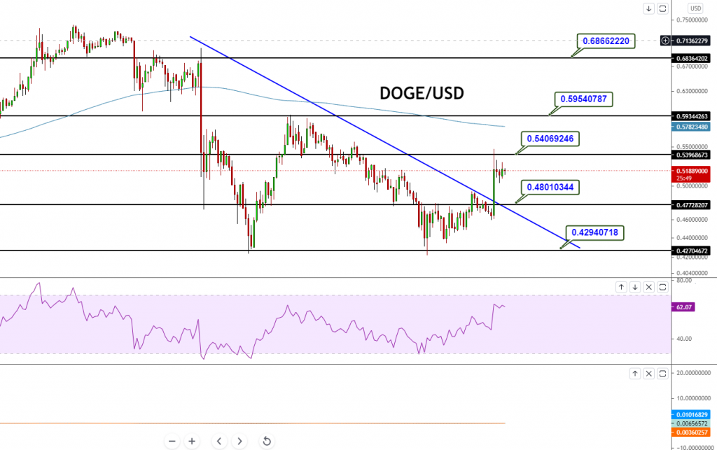 DOGE/USD - CHART