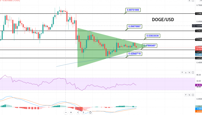 DOGE/USD - CHART