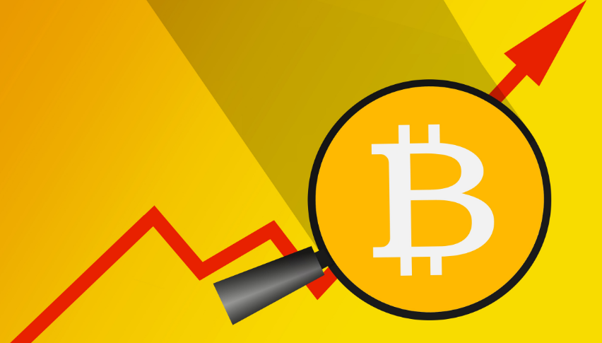 Elon Musk Tweet favors Cryptocurrency over Fiat