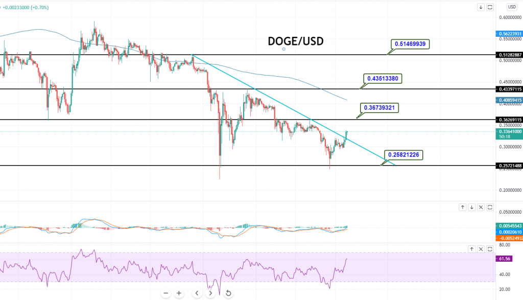 Dogecoin - DOGE/USD Chart