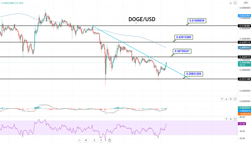 Dogecoin - DOGE/USD Chart