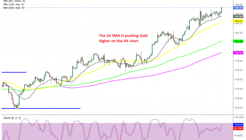 MAs are keeping Gold well supported