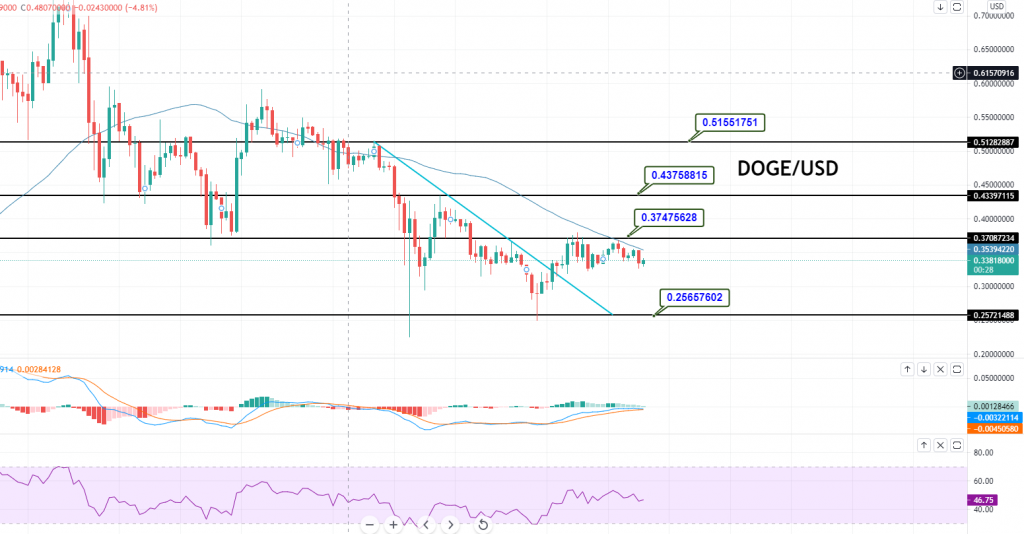 Dogecoin - DOGE/USD Chart