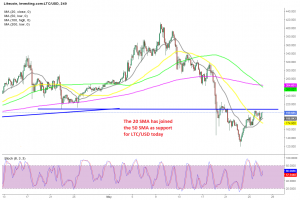 The crash seems to be over for Litecoin