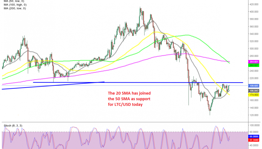 The crash seems to be over for Litecoin