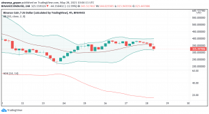 Binance Coin (BNB) Feels the Pressure as Bitcoin and Crypto Market Dip