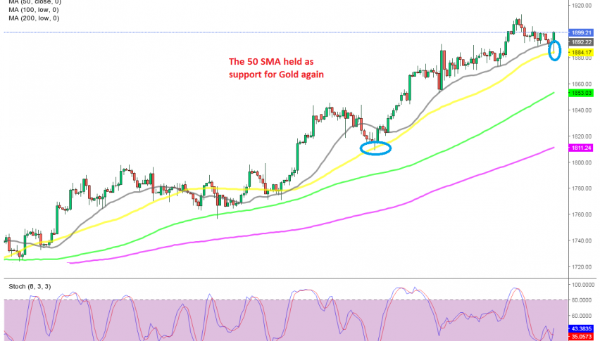 The retreat seems over for Gold now