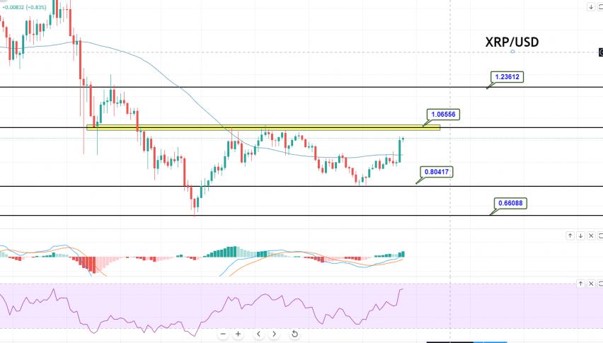 Ripple - XRP/USD Chart