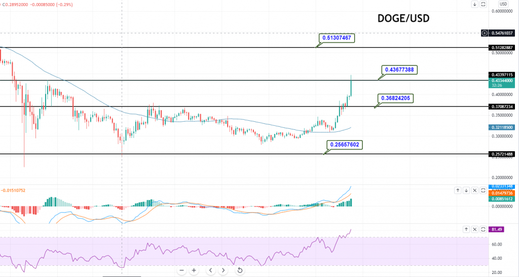 Dogecoin - DOGE/USD Chart