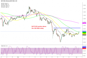 Is Bat token resuming the bullish trend like Doge?