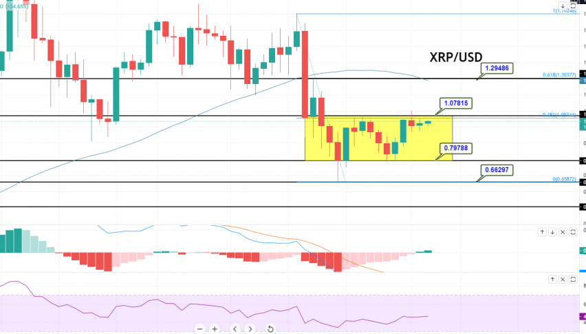 Ripple - XRP/USD Chart