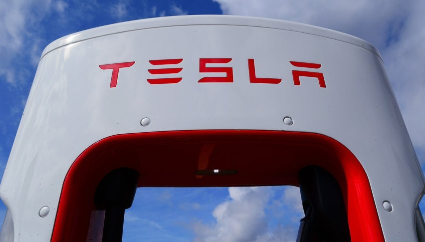 Tesla stock stopped the decline on Friday