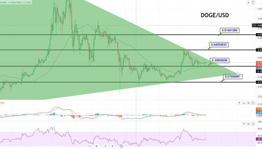 Dogecoin - DOGE/USD Chart
