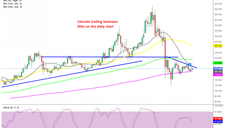 No one is taking charge in cryptos this week