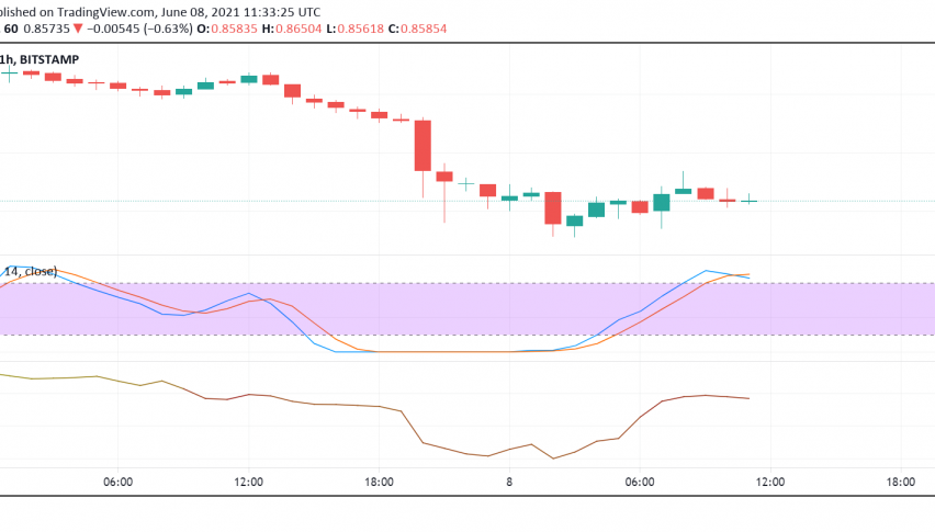 Ripple (XRP) Slides as Crypto Market Sentiment Sours, But Fundamentals Look Promising