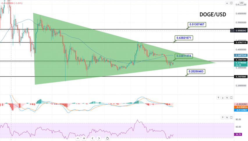 Dogecoin - DOGE/USD Chart