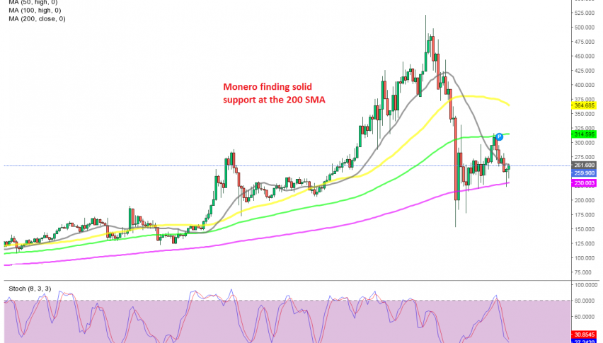The 20 SMA is the first obstacle for buyers in Monero