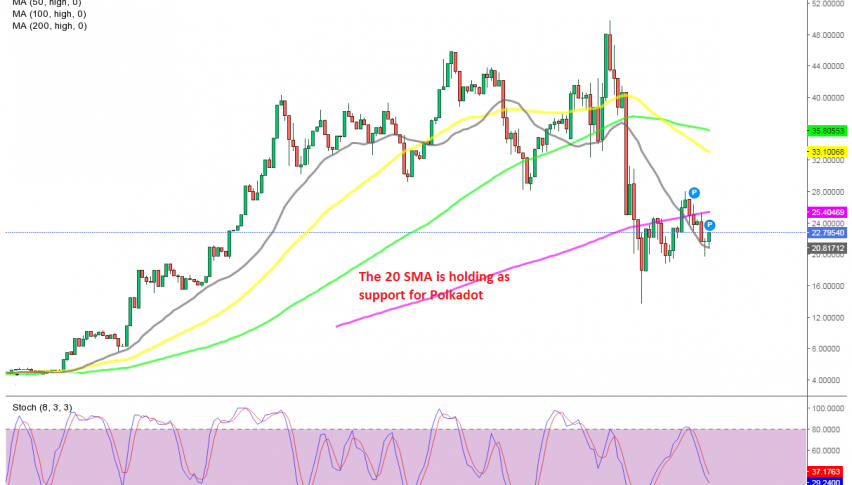 The daily chart setup points up for Polkadot