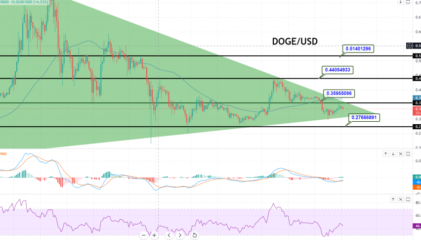 Dogecoin - DOGE/USD Chart