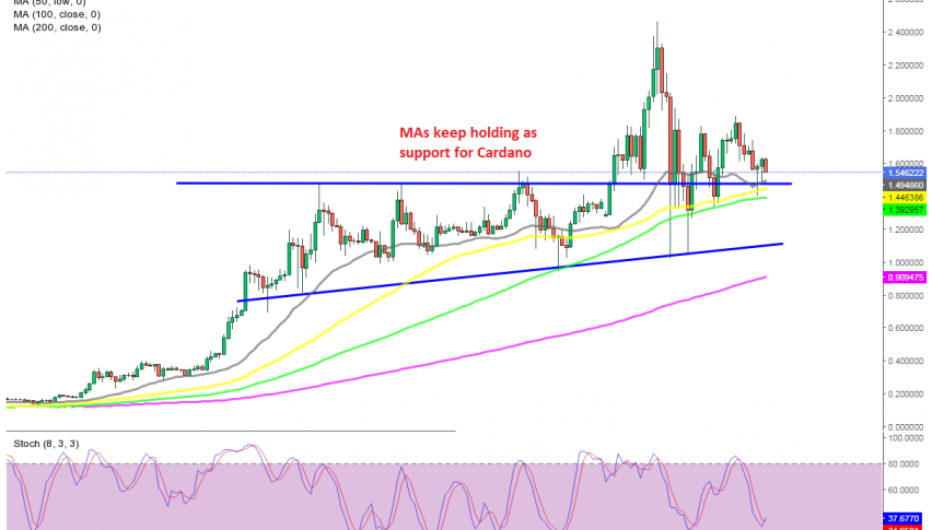 The bounce off the support area will come at dome points for ADA/USD