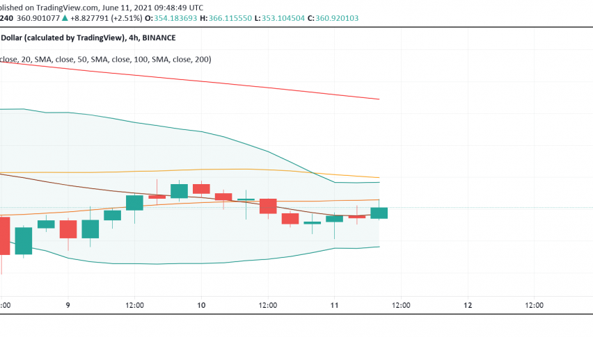 Binance Coin (BNB) Showing Mixed Signs: Can Buyers Break Past $400?