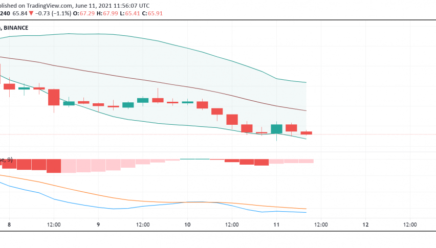 How is Internet Computer ICP Reacting to the Crypto Market Sentiment Lately?