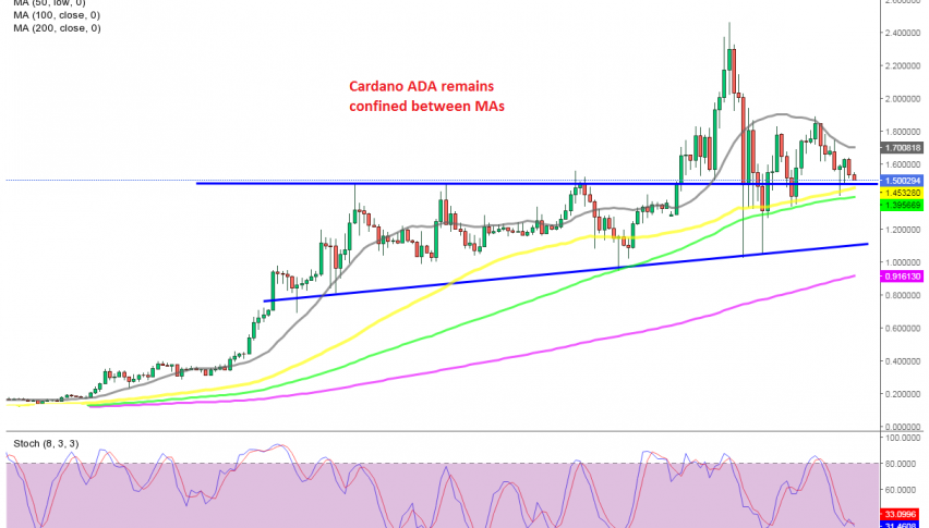 Let's see if Mas will hold again for Cardano