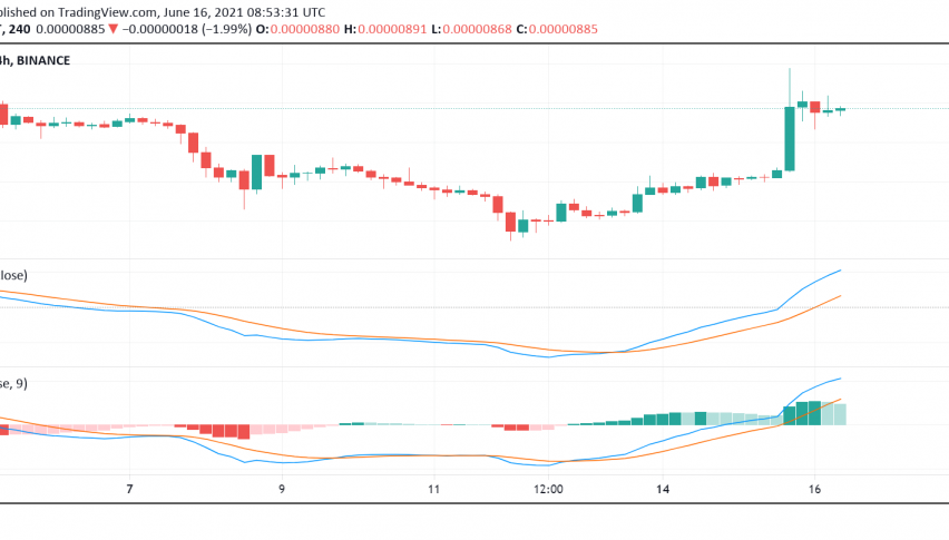 Petition Succeeds: Shiba Inu (SHIB) to Get Listed on Coinbase Pro