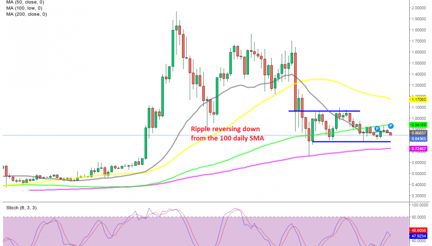 Ripple coin heading for the support after the failure at the 100 SMA