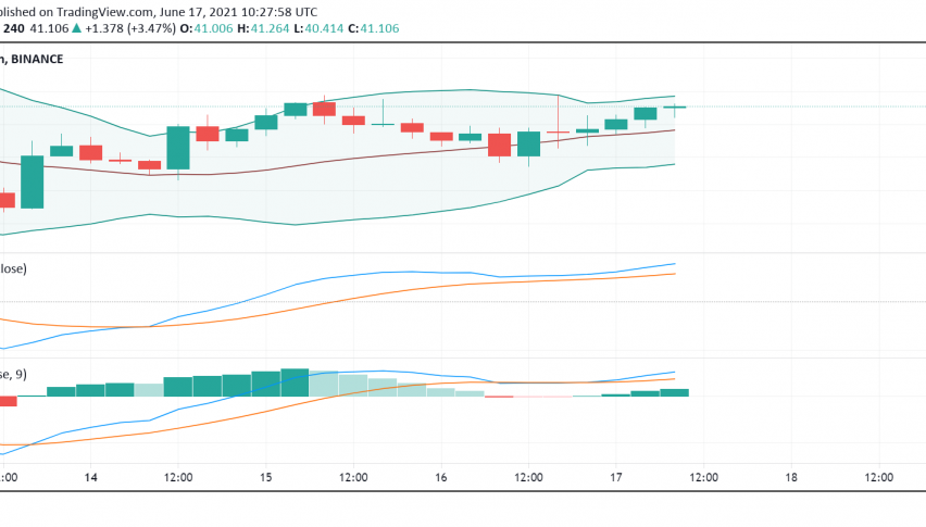 What's Going on With Solana (SOL) Lately?