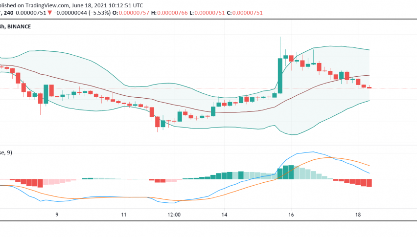 Coinbase Announces Delay in Shiba Inu (SHIB) Listing
