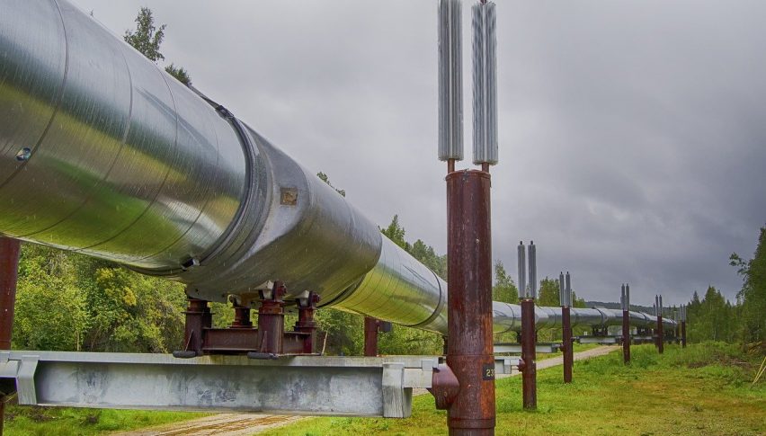 WTI Crude Oil Resumes Bullish Mood as Demand Set to Soar in Summer