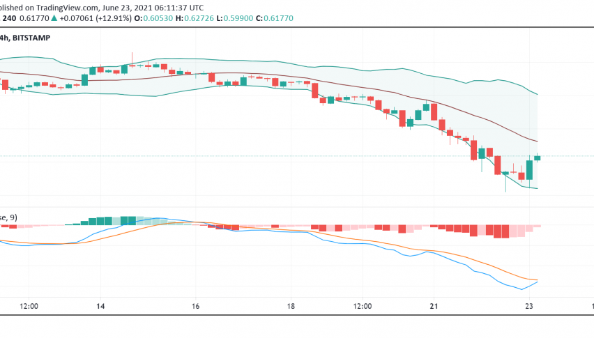 Is Ripple's XRP Trying to Make a Comeback to $0.80?