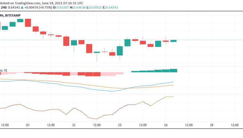 Buying Action in Ripple (XRP): Why We Stay Fixed on $0.80
