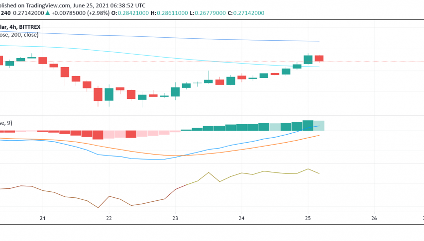 Dogecoin (DOGE) Rally Strengthens as Other Cryptos Recover