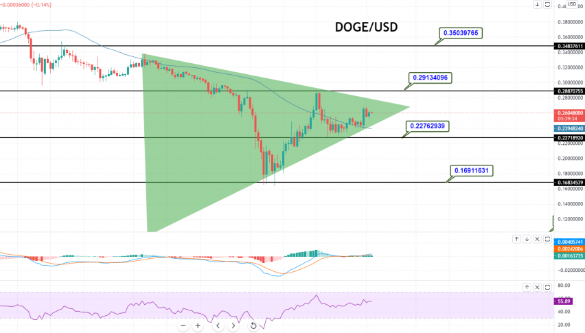 Dogecoin - DOGE/USD Chart