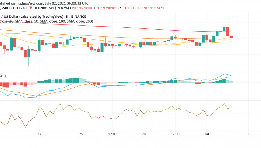 Hedera Hashgraph (HBAR) Rises Even as Other Cryptos Trade Bearish