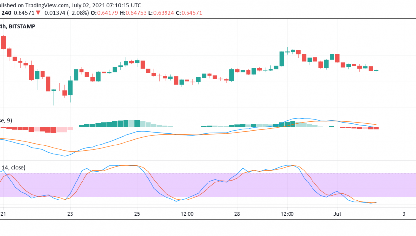 Ripple's XRP Moves Bearish But Fundamentals Could Interest Buyers