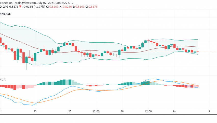 FutureFi Worth Watching: All You Need to Know Before Trading Algorand (ALGO)